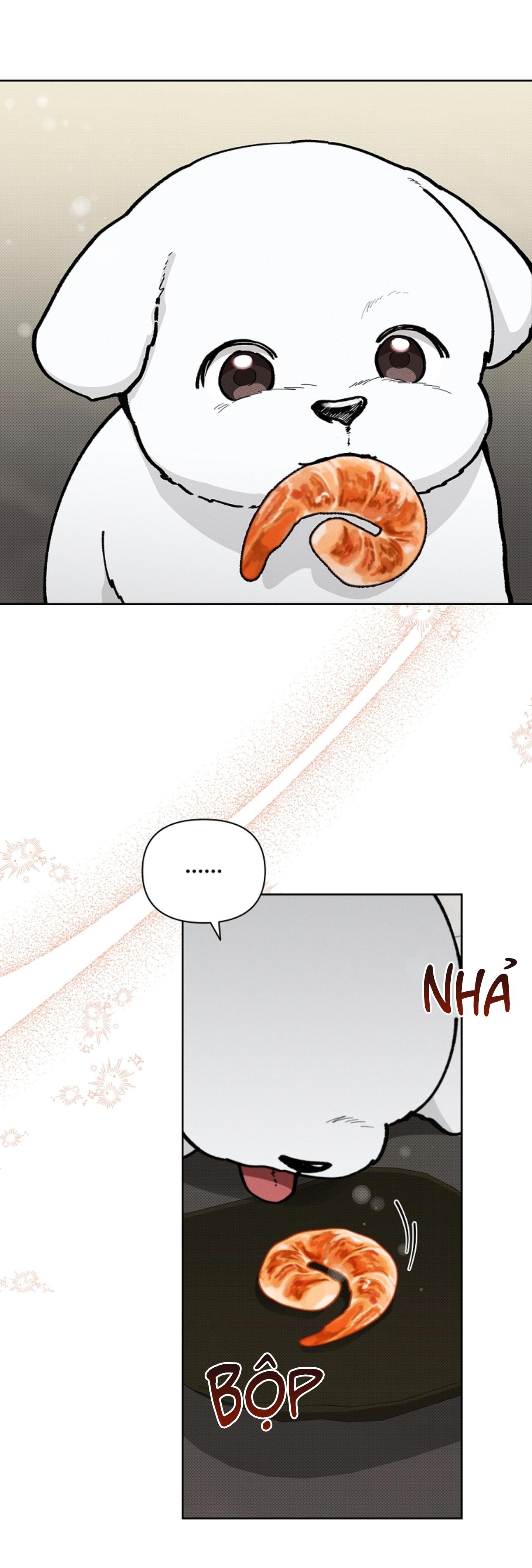 Đọc truyện ĐỪNG ĐỘNG VÀO CÚN CON! - Chapter 10