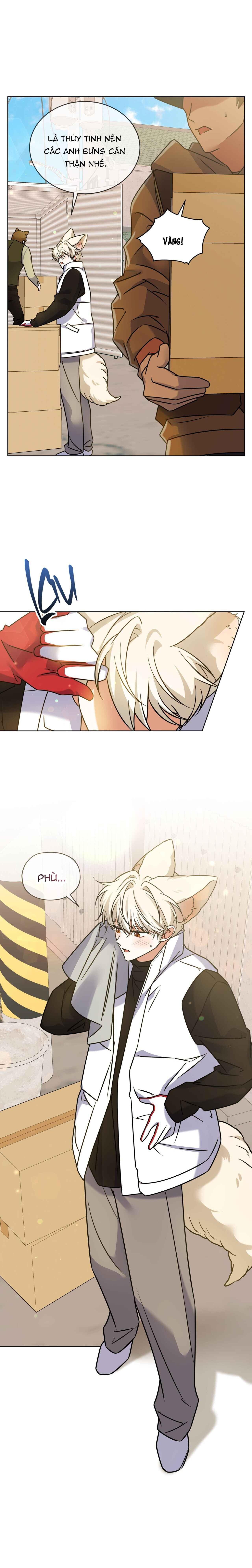 Đọc truyện NƯỚC UỐNG TÌNH YÊU CỦA CÁO PLIN - Chapter 31