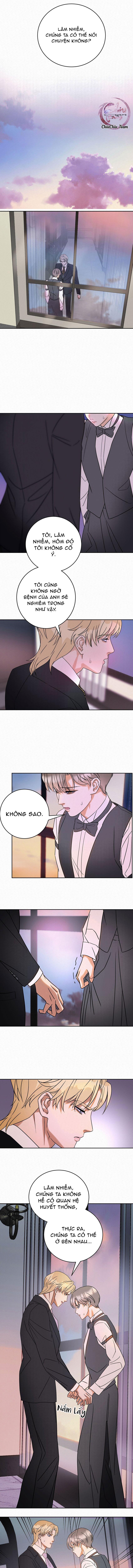 Đọc truyện Anh Trai Rẻ Tiền Của Tôi (END) - Chapter 19