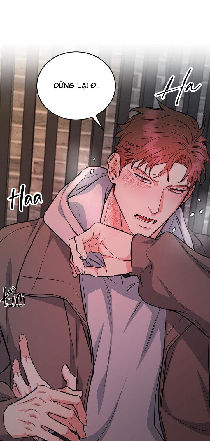 Đọc truyện CHÓ VÀ CHIM - Chapter 41