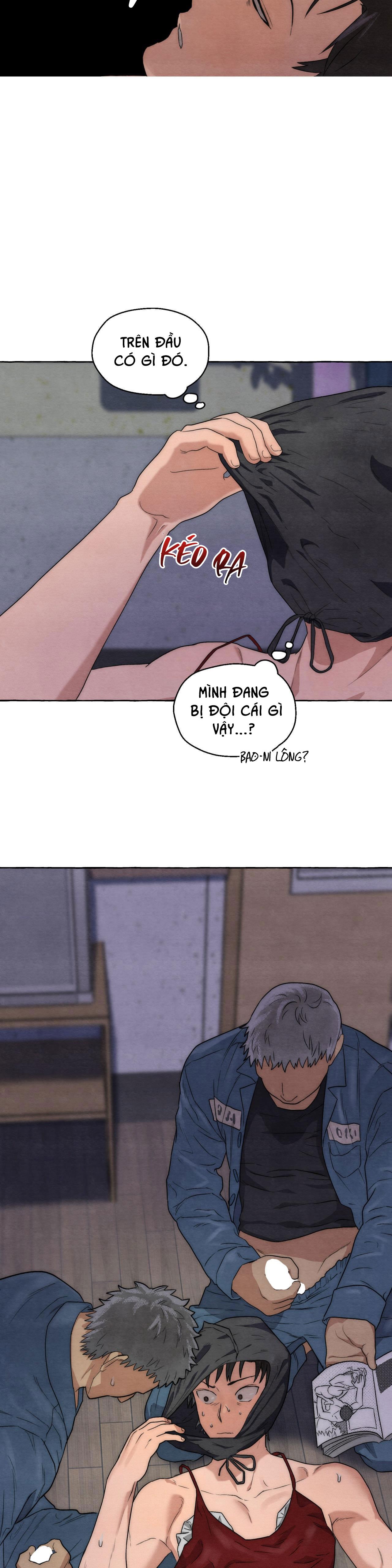 Đọc truyện NHỮNG CON CHÓ TRONG TÙ - Chapter 7