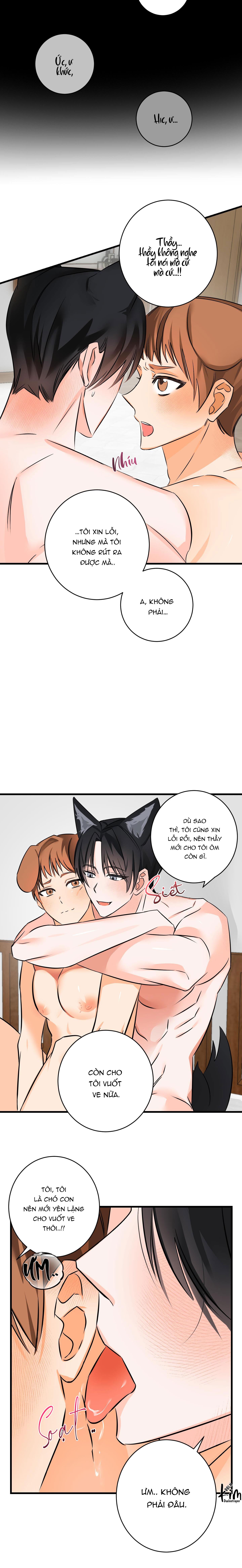 Đọc truyện TUYỂN TẬP BL THÚ NHÂN VÀ XÚC TU - Chapter 10.6