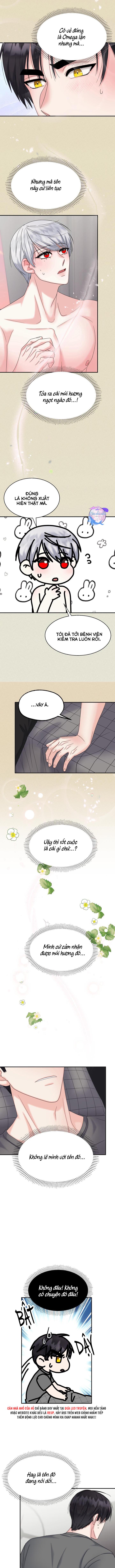 Đọc truyện ĐÂY LÀ CHÚ THỎ MÀ BẠN (KHÔNG) ĐÃ ĐẶT HÀNG - Chapter 12