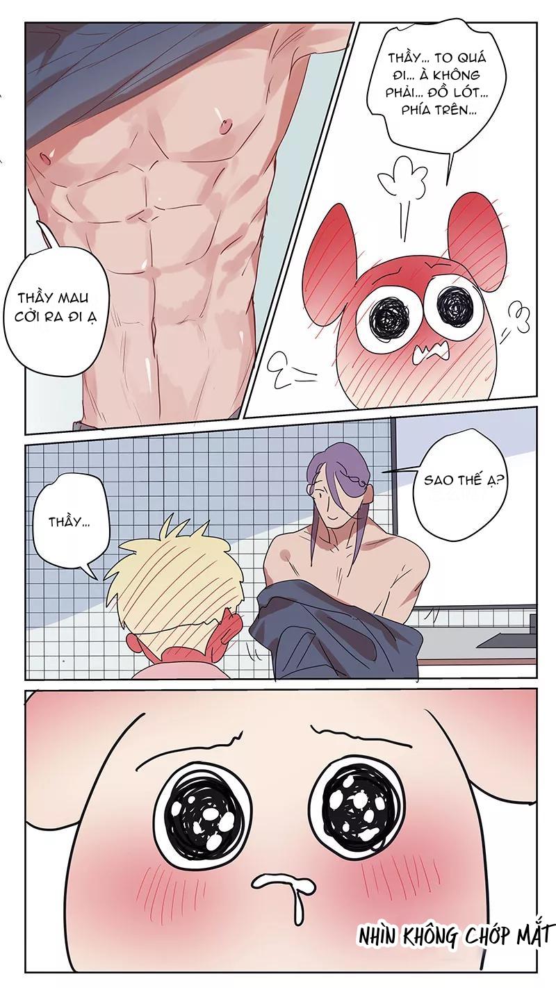 Đọc truyện Ghét Cậu Thích Cậu - Chapter 67