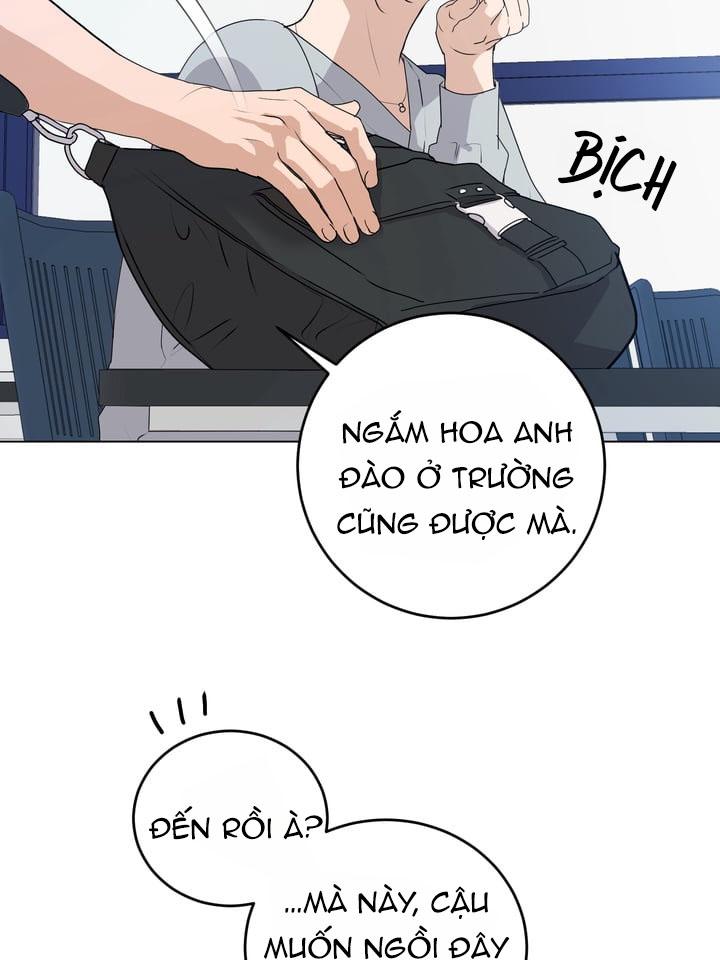 Đọc truyện (END) Lời Tán Tỉnh Ngọt Tựa Bánh Bích Quy - Chapter 11