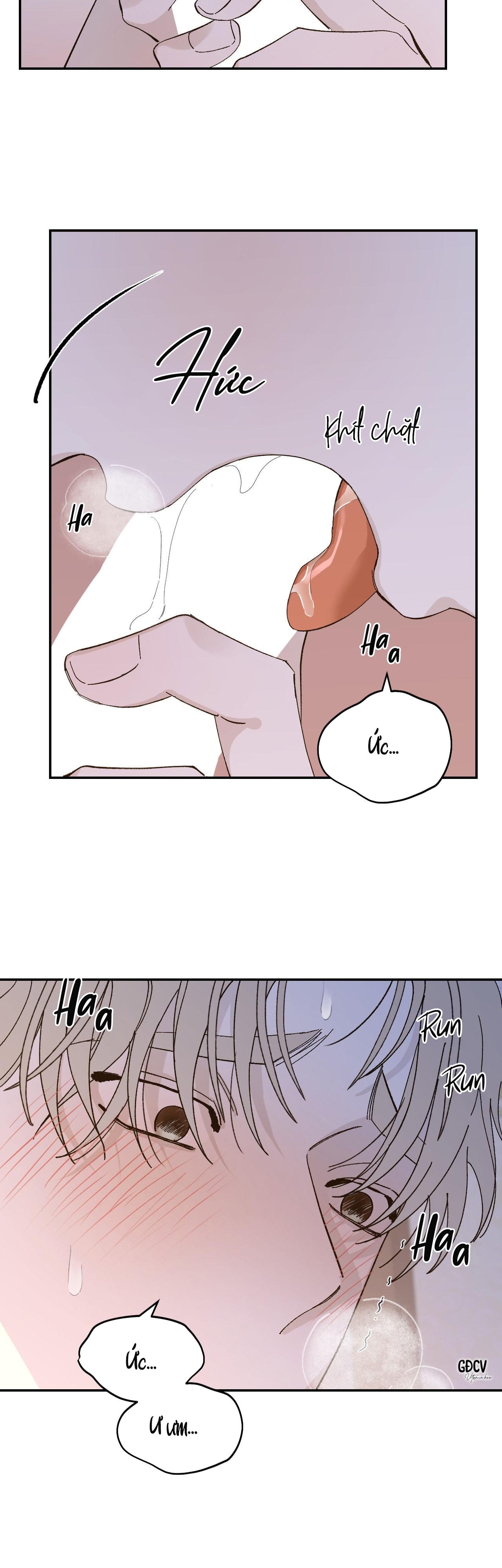 Đọc truyện GIA NHÂN - Chapter 19