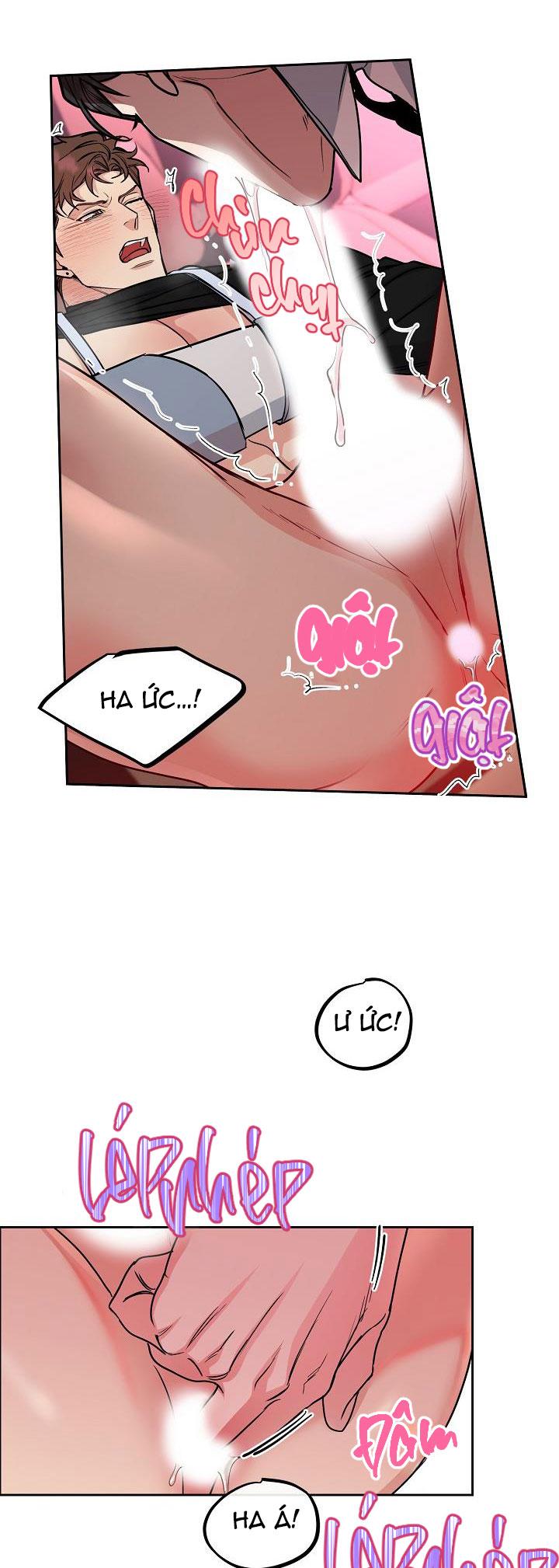 Đọc truyện CHÓ VÀ CHIM - Chapter 17