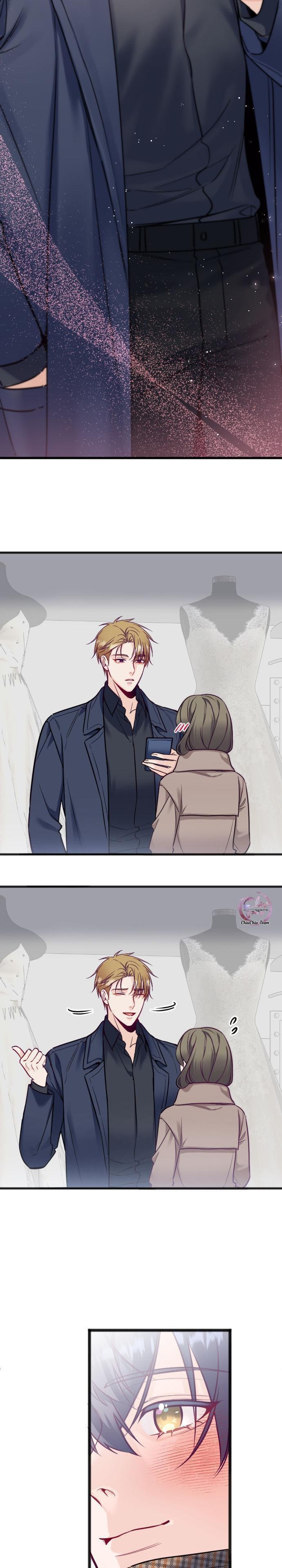 Đọc truyện Người Tình Thế Thân Của Alpha - Chapter 12