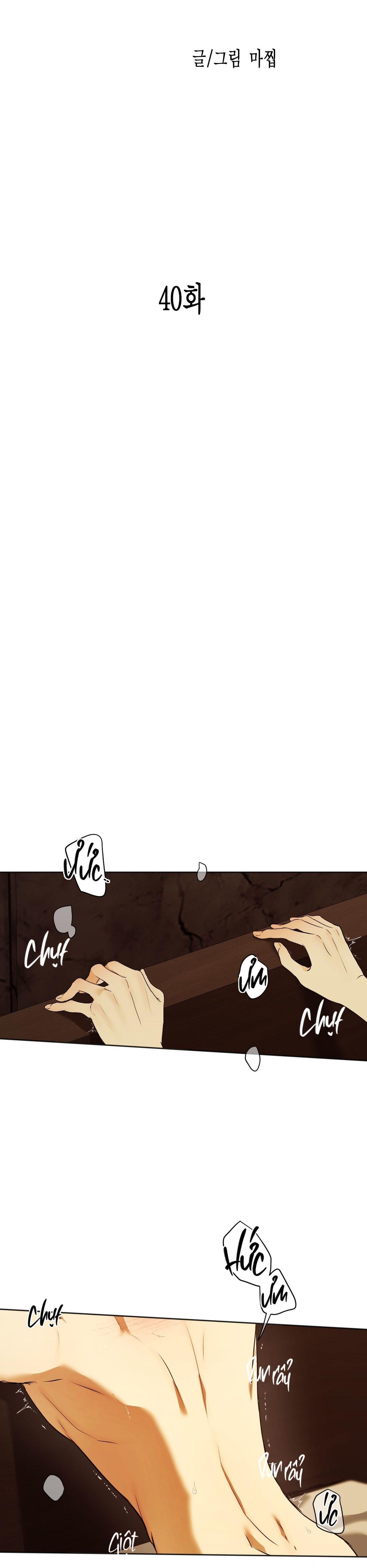 Đọc truyện ÁI DỤC - Chapter 40