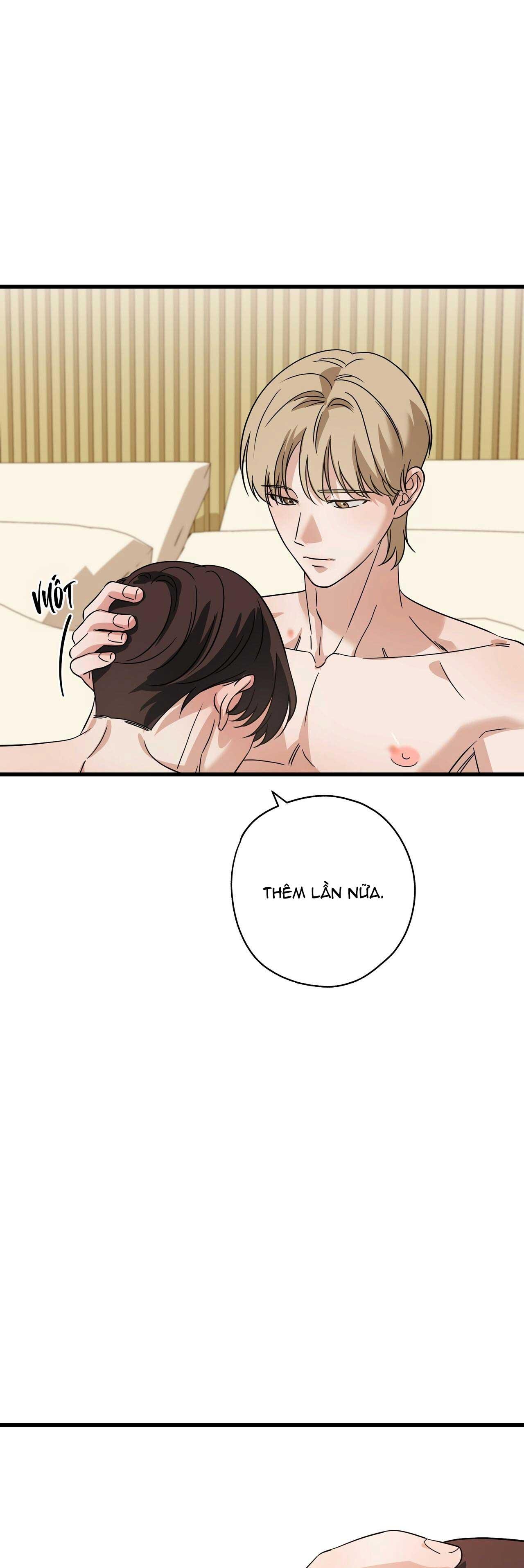 Đọc truyện HỢP ĐỒNG KẸO NGỌT - Chapter 22