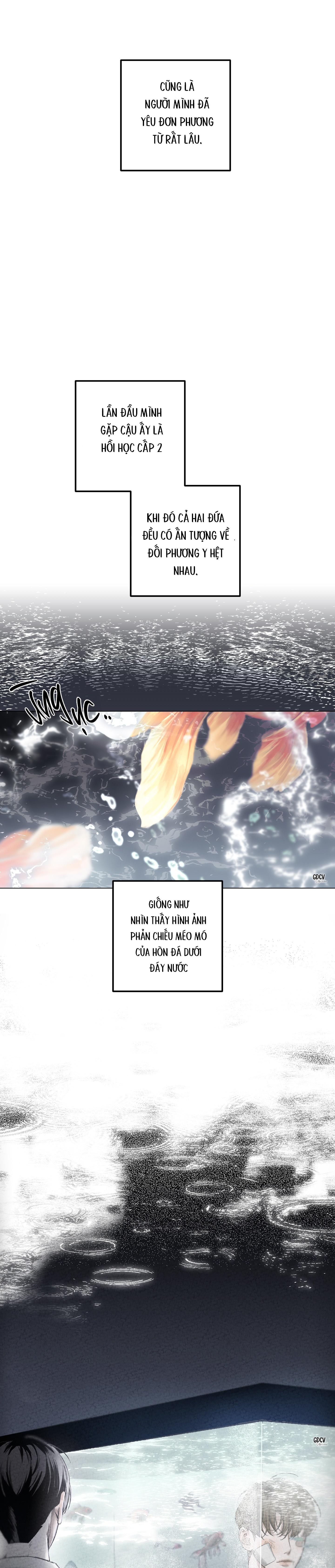 Đọc truyện LỜI TỎ TÌNH CHÂN THÀNH NHẤT - Chapter 1