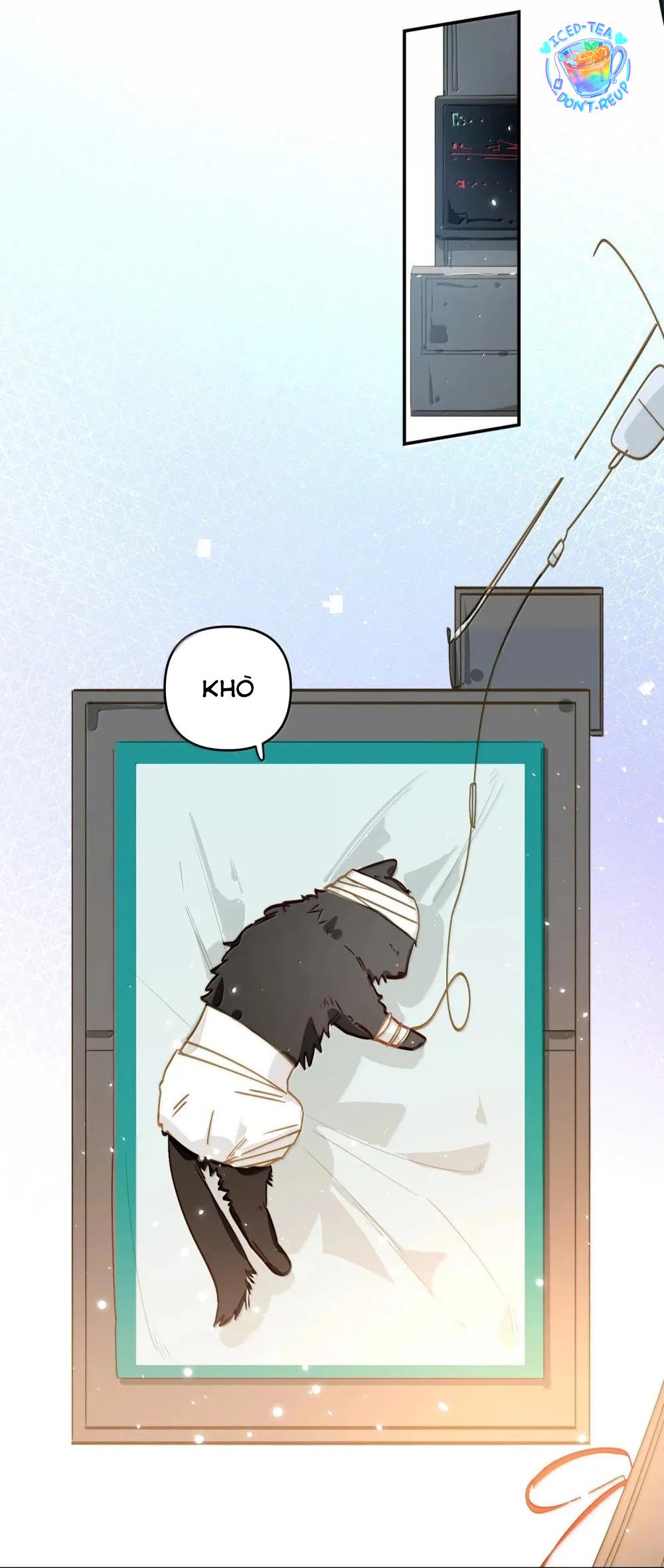 Đọc truyện Tôi có bệnh - Chapter 64