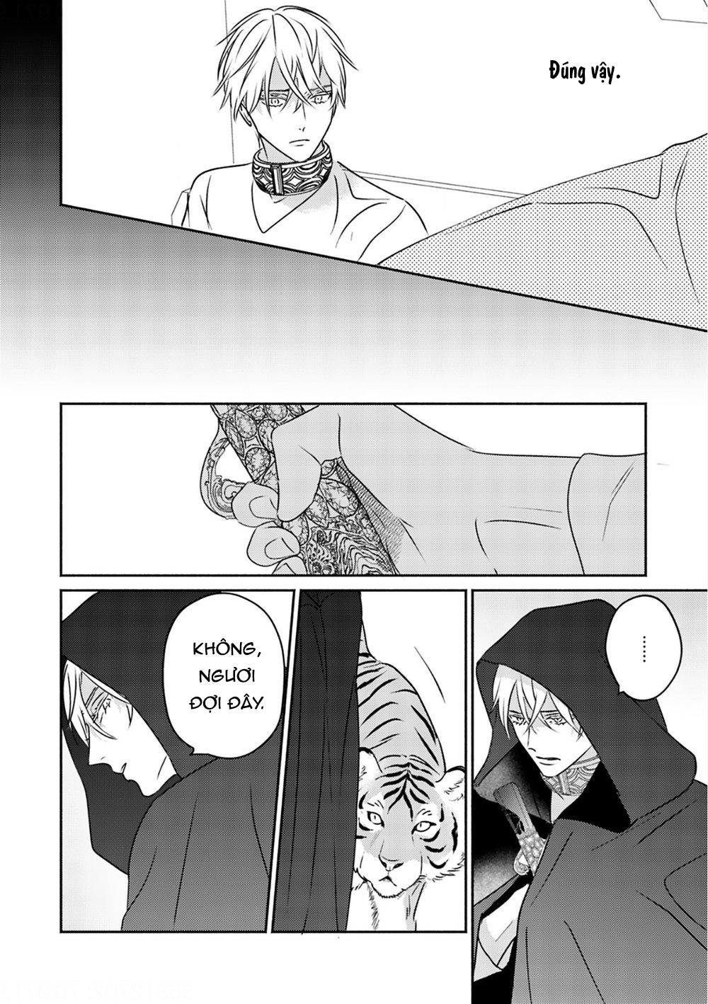 Đọc truyện Omega Của Hoàng Cung - Chapter 5