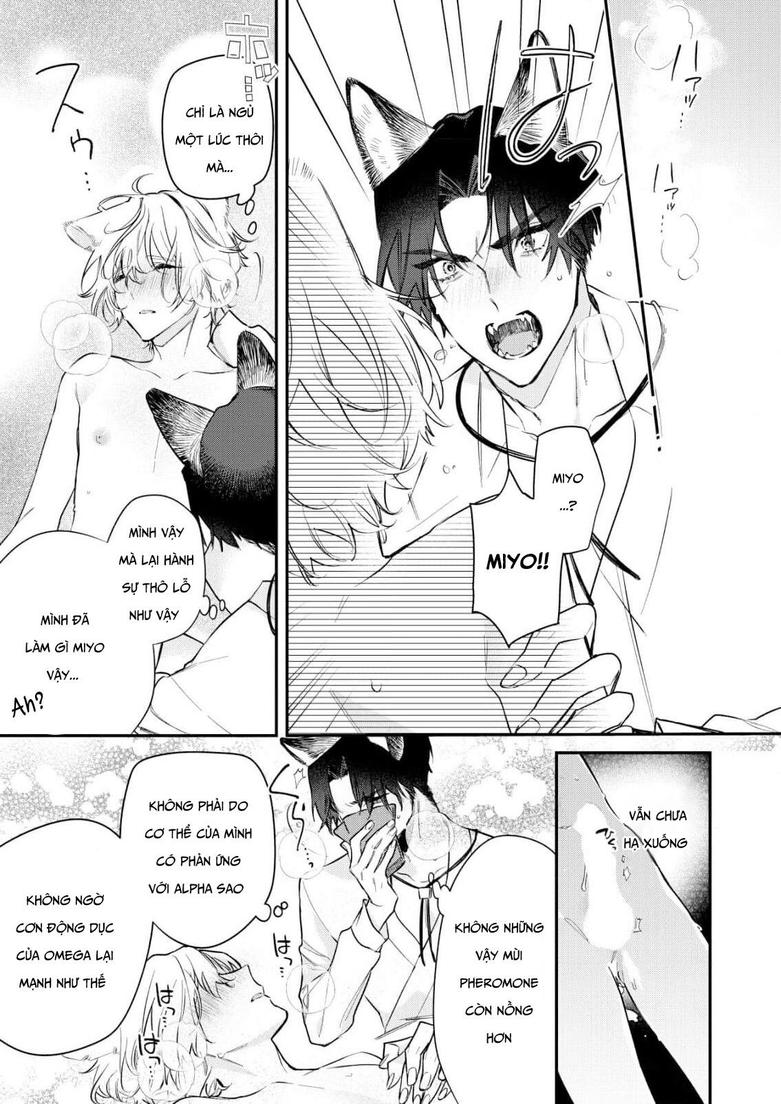 Đọc truyện Định mệnh không thể tránh khỏi - Chapter 3