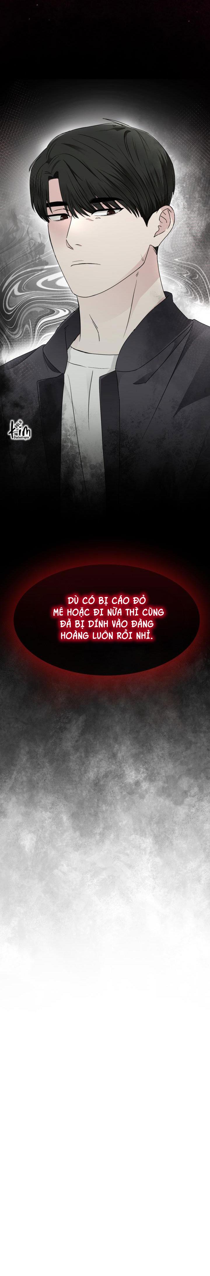 Đọc truyện SĂN CÁO - Chapter 1