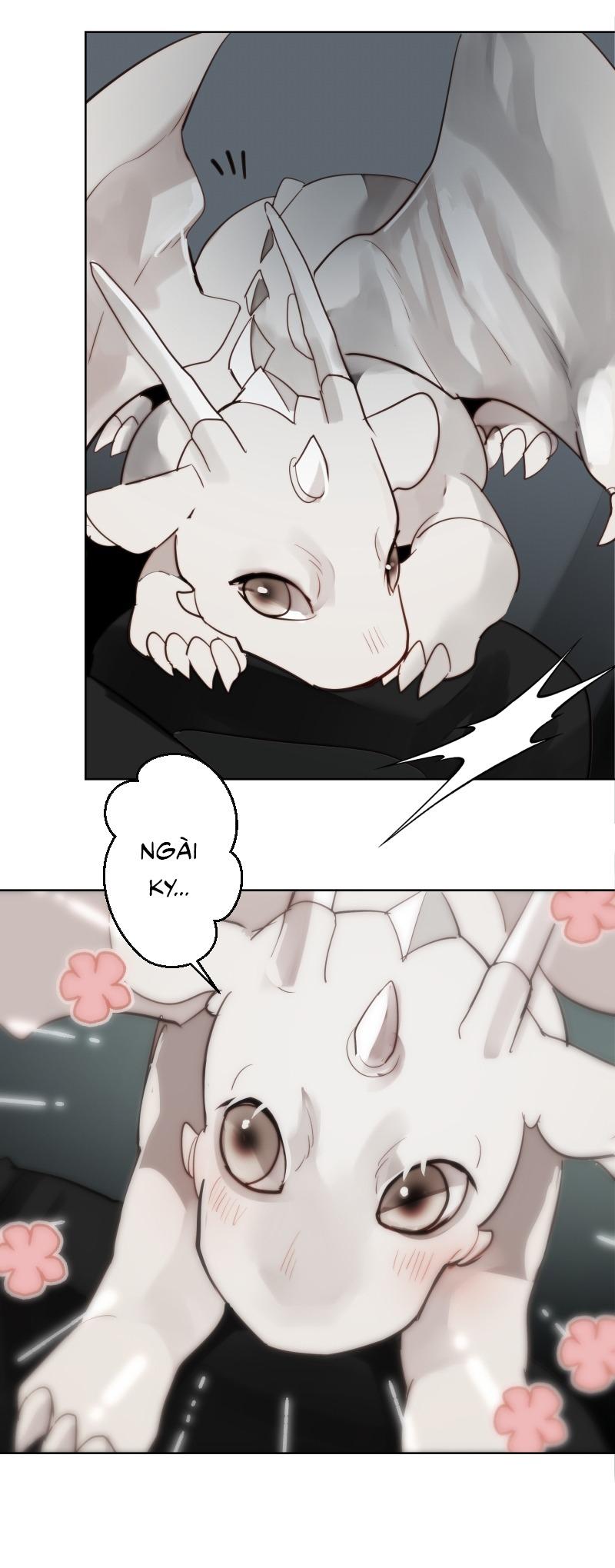 Đọc truyện SOLO FOR TWO - Chapter 19