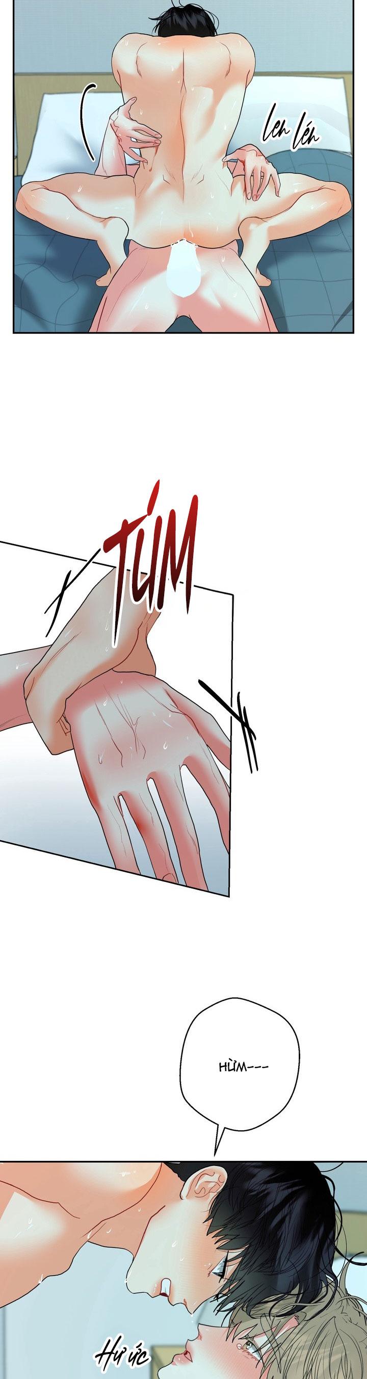 Đọc truyện (ABO) OMEGA CỦA ANH TRAI - Chapter 12