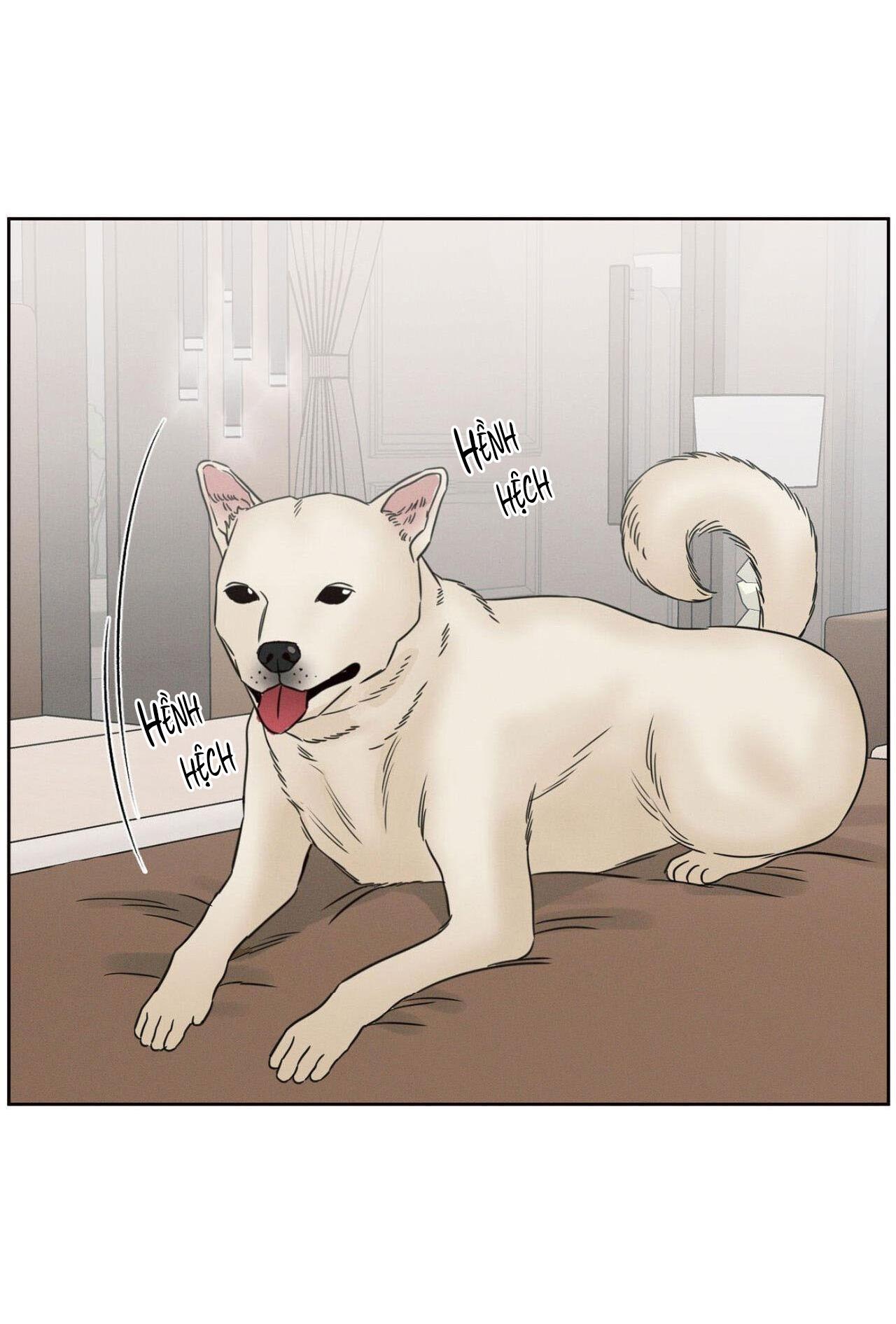 Đọc truyện Dù Anh Không Yêu Em - Chapter 98