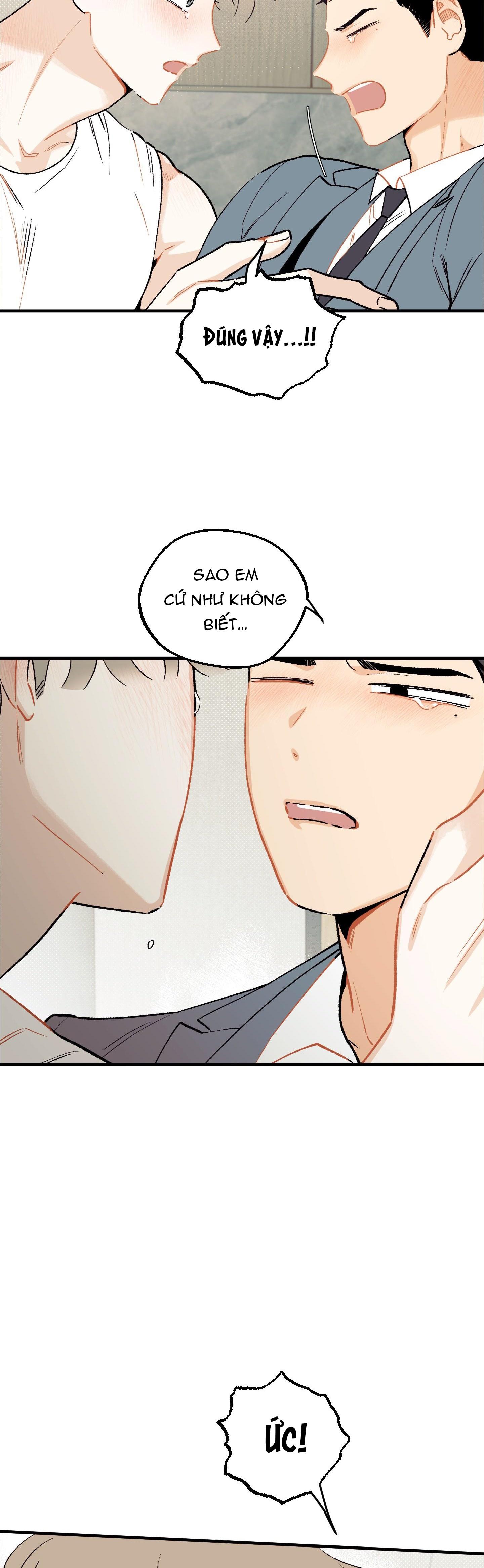 Đọc truyện Tình đơn phương lạc lối - Chapter 5