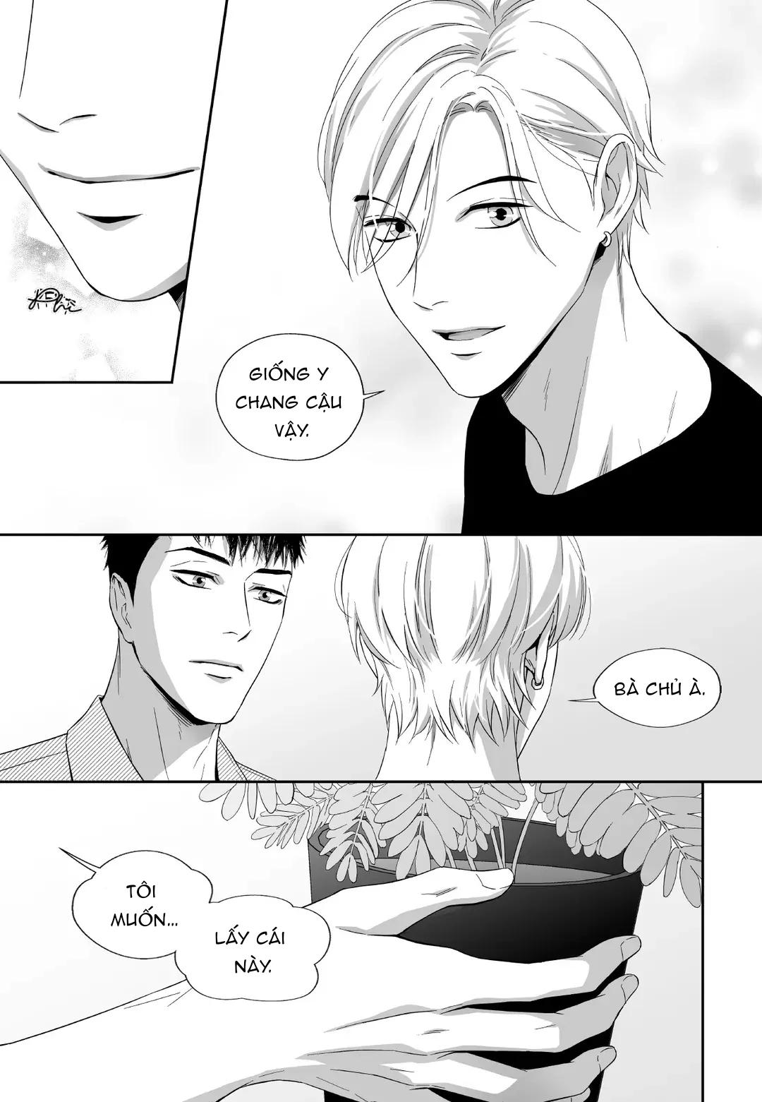 Đọc truyện (END) Hai Đôi Tay Sinh Động - Chapter 12