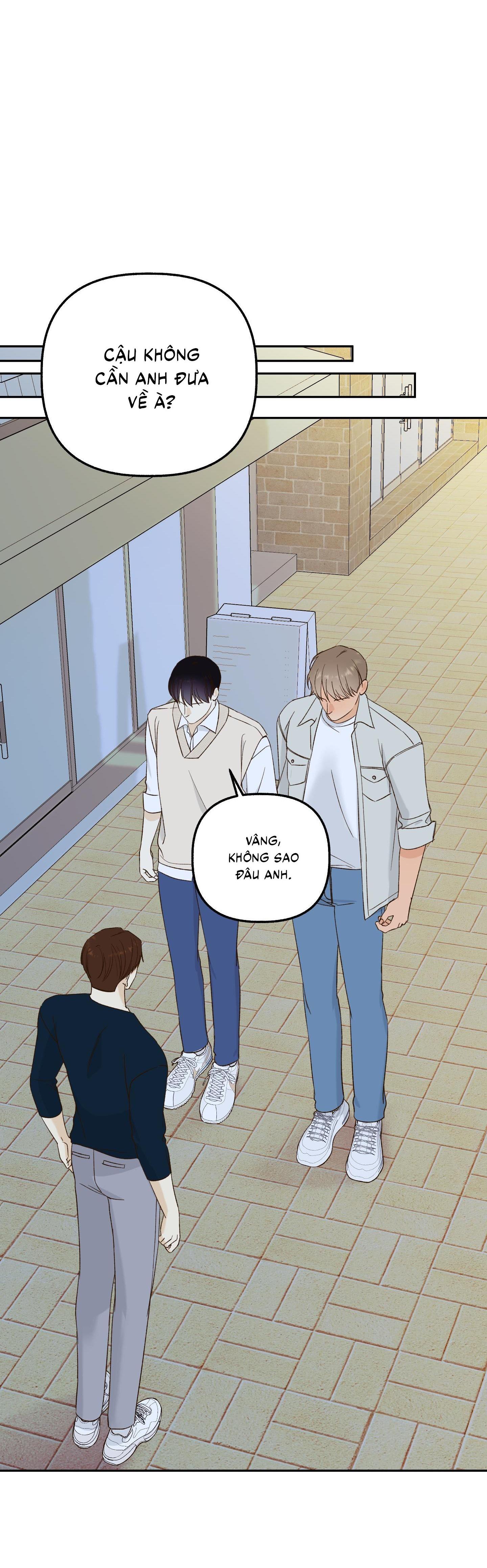 Đọc truyện Ngọn Gió Dịu Dàng - Chapter 8