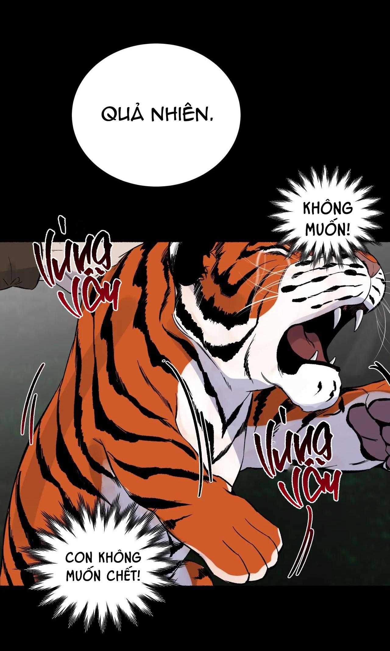 Đọc truyện HỔ NGÀN NĂM - Chapter 29