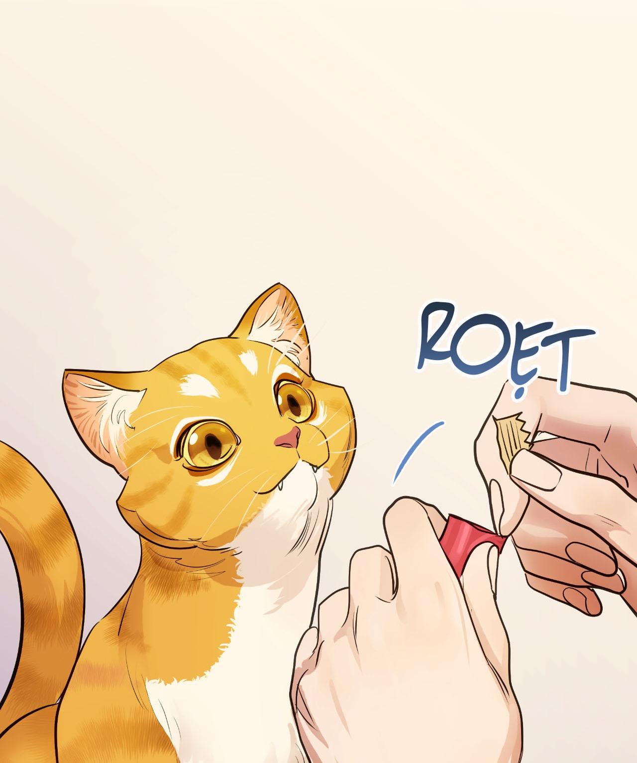 Đọc truyện Người Trong Gương (Drop) - Chapter 13