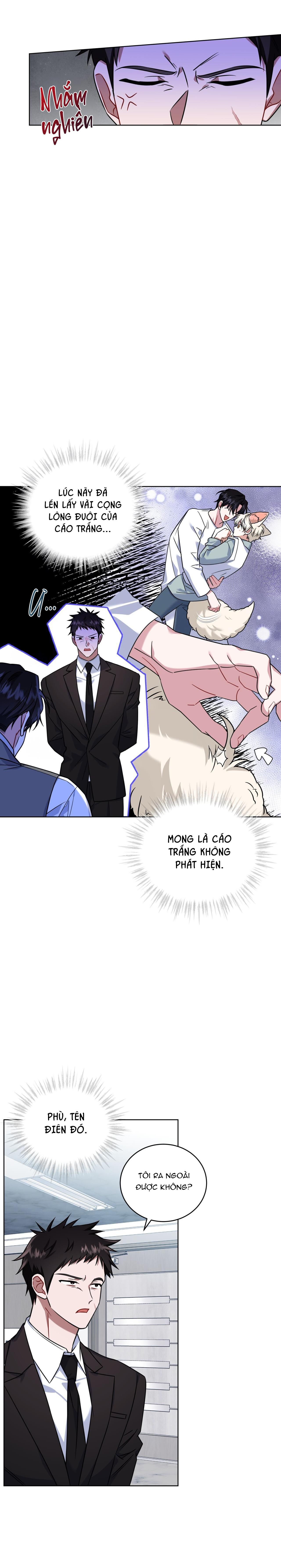 Đọc truyện NƯỚC UỐNG TÌNH YÊU CỦA CÁO PLIN - Chapter 20