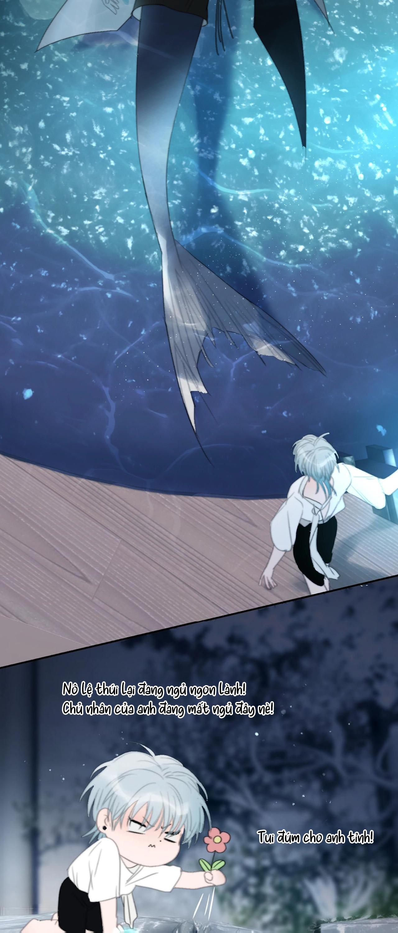 Đọc truyện Quanh Năm Có Cá - Chapter 21