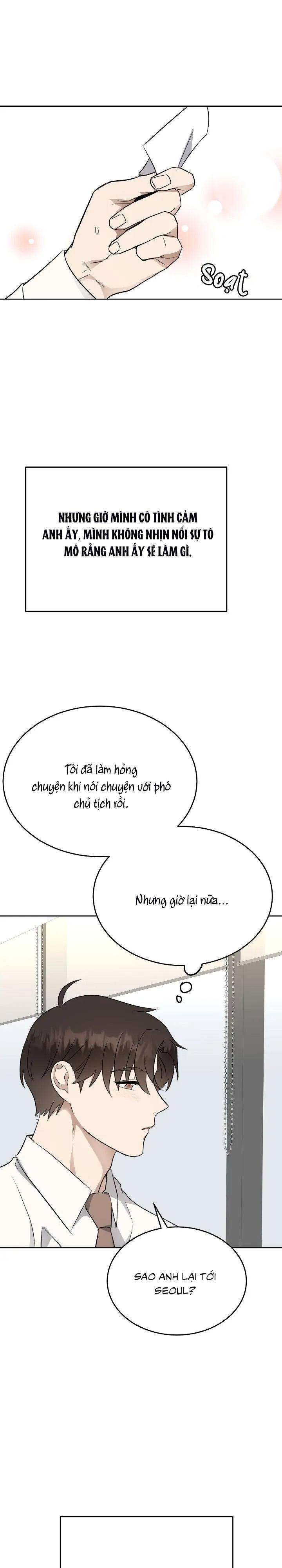 Đọc truyện Niềm An Ủi Ngày Chủ Nhật - Chapter 41