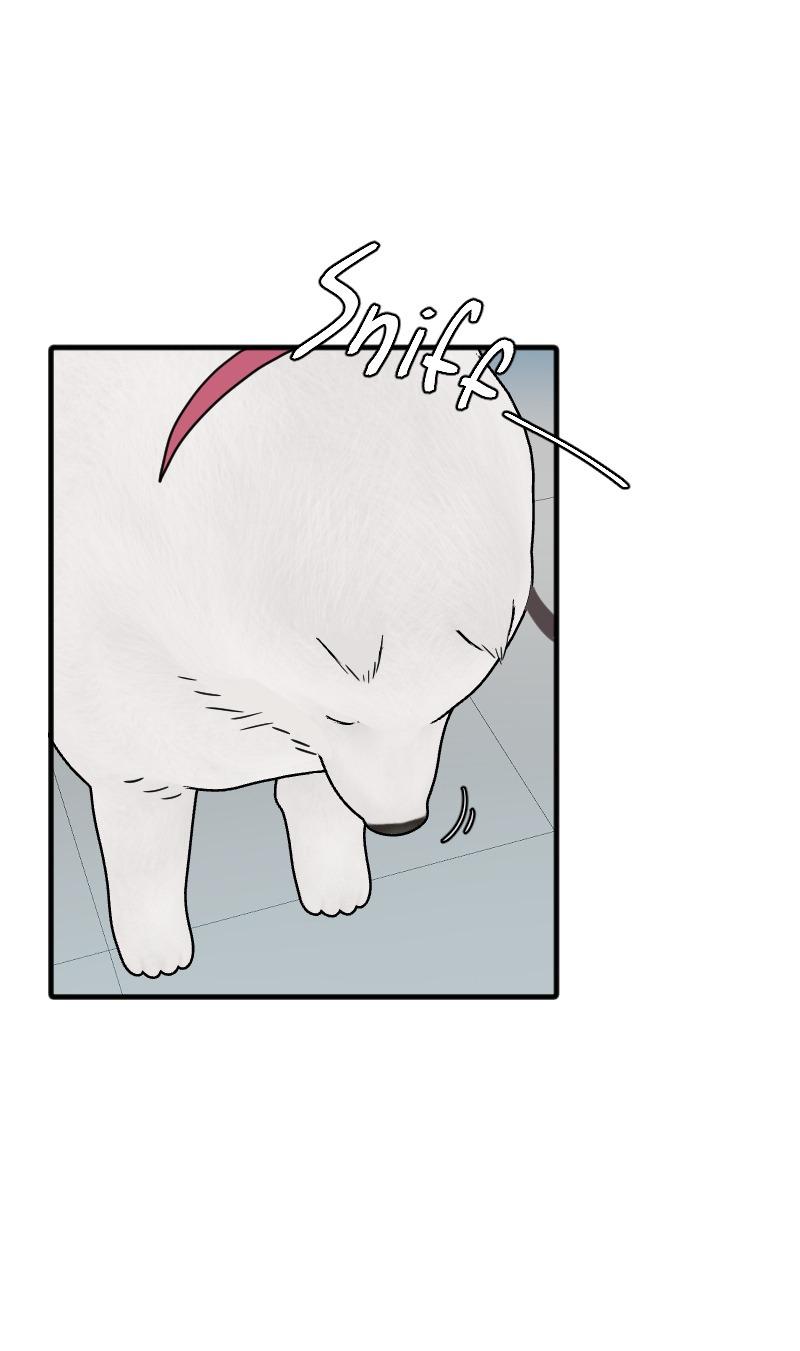 Đọc truyện Truyện Ngôn Nhưng Không Ngôn Lắm - Chapter 69