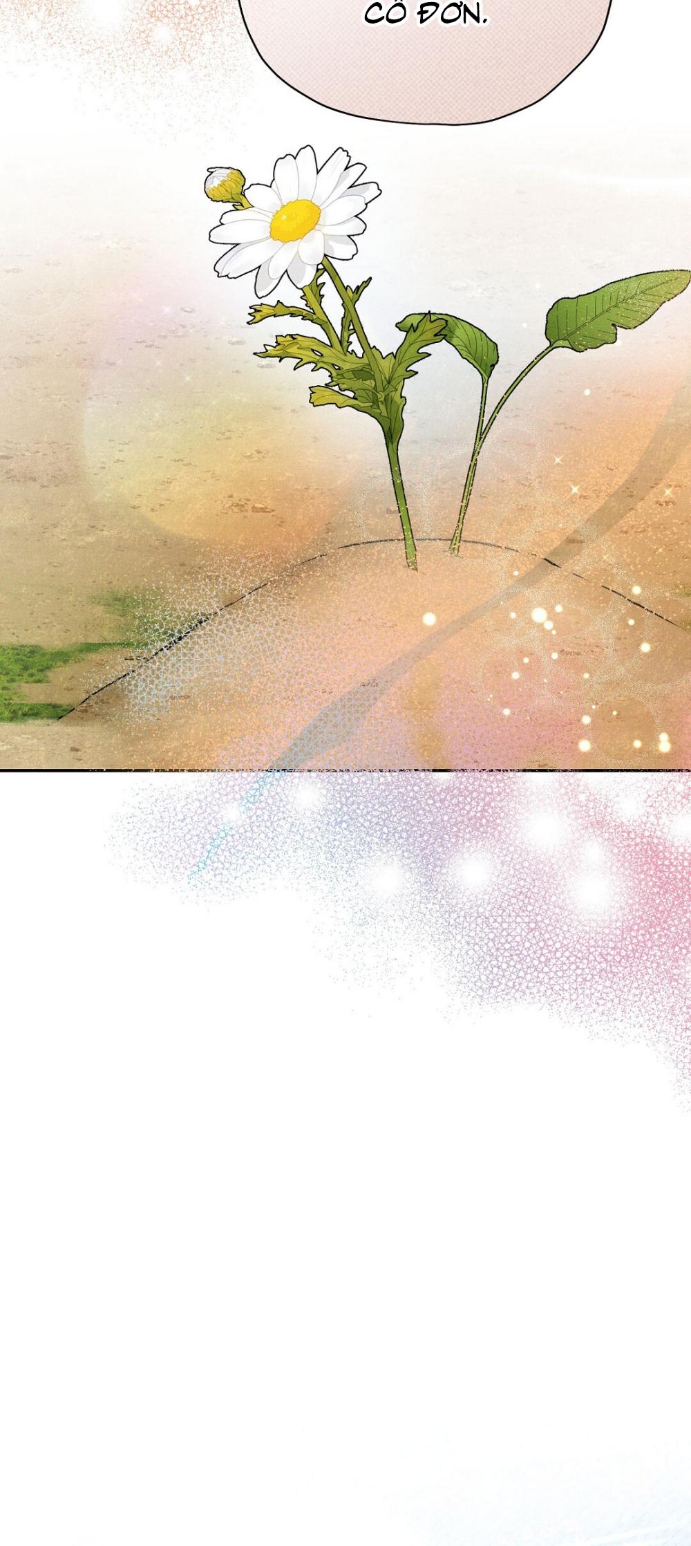 Đọc truyện HOÀNG TỬ HƯ HỎNG CHE GIẤU MÌNH LÀ OMEGA - Chapter 43