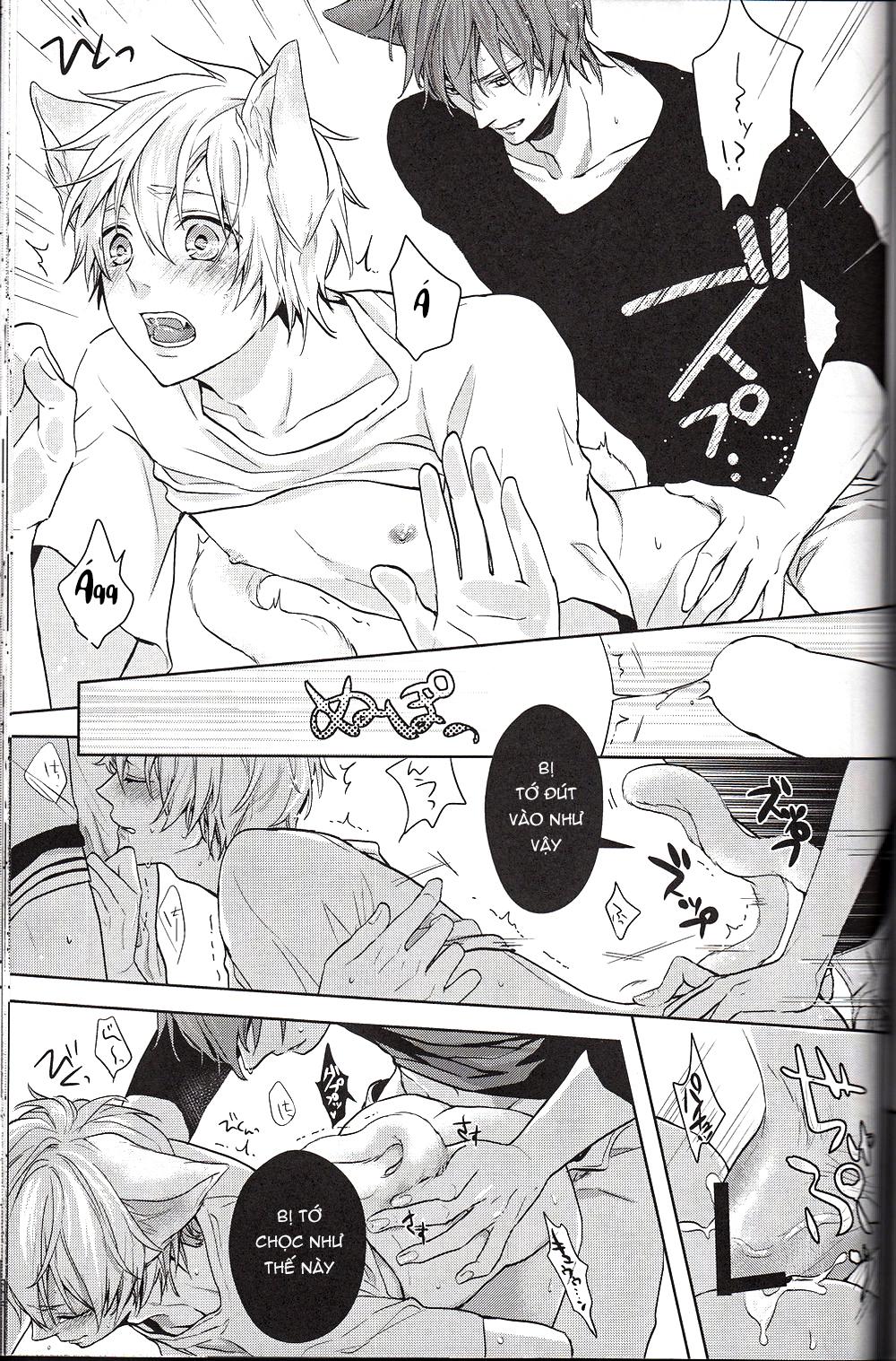 Đọc truyện Doujinshi của Kuroko no basket ball - Chapter 6