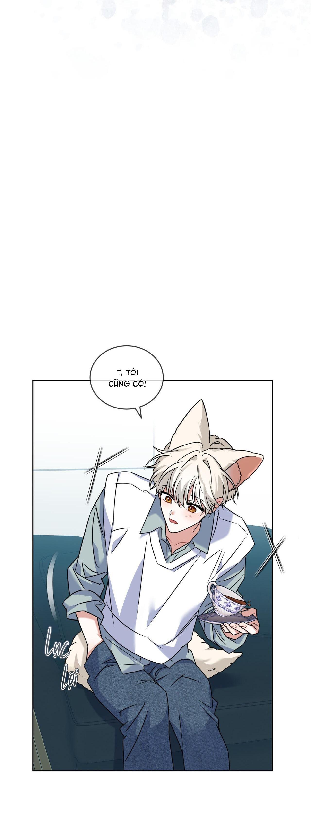 Đọc truyện |DROP| Tiệm đồ uống của cáo Flynn - Chapter 18