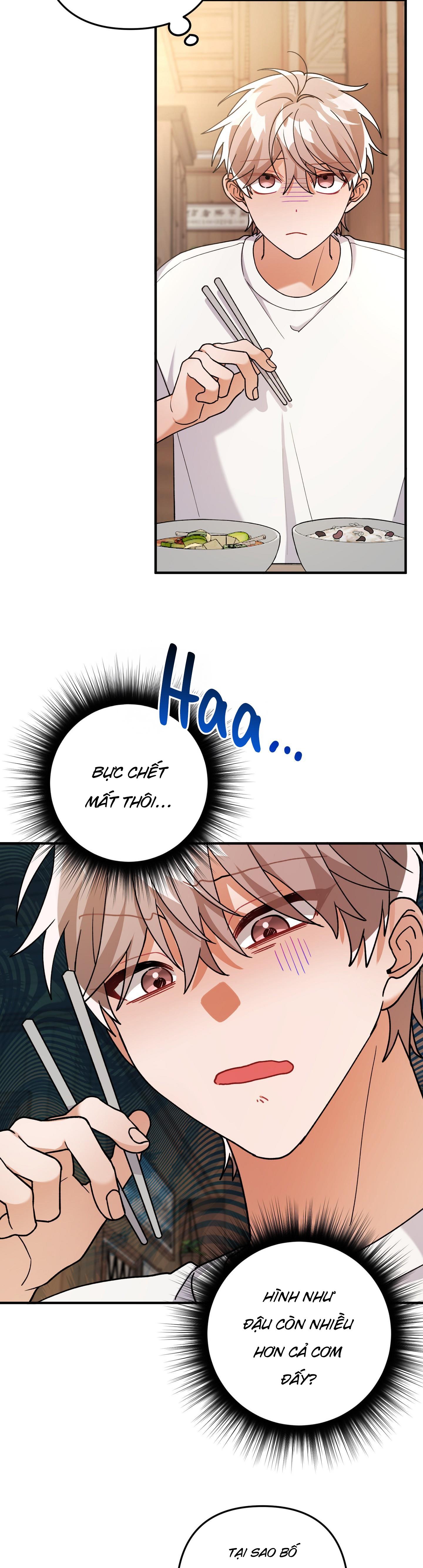 Đọc truyện [DROP] BIỆT THỰ HOA HỒNG CỦA ANH DO DO HOON - Chapter 5