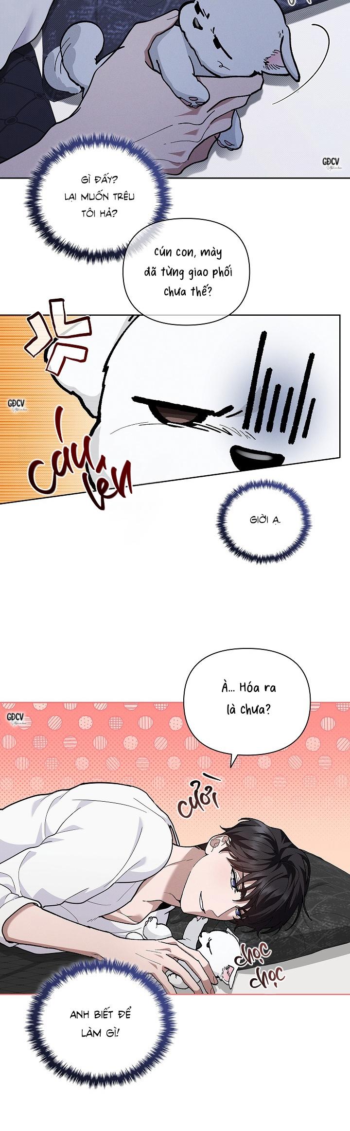 Đọc truyện ĐỪNG CHẠM VÀO CÚN CON CỦA TÔI - Chapter 8