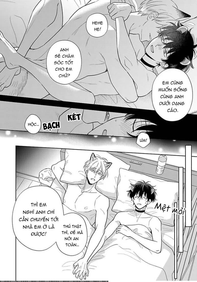 Đọc truyện Cách Khiến Một Omega Trở Nên Ngon Miệng - Chapter 11