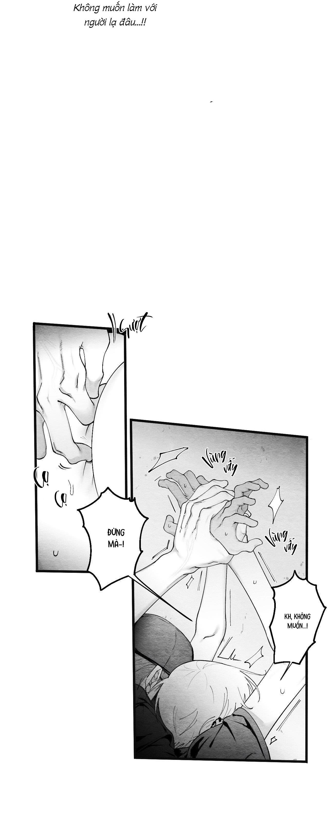 Đọc truyện  Vóc Dáng Toàn Mỹ - Chapter 15