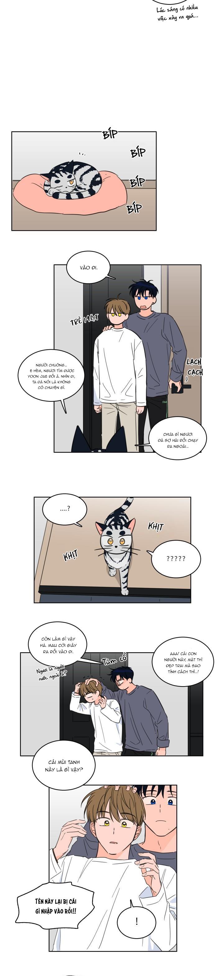 Đọc truyện Mẹo Thuần Hóa Hổ - Chapter 15