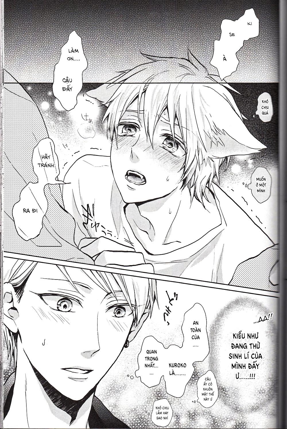 Đọc truyện Doujinshi của Kuroko no basket ball - Chapter 6