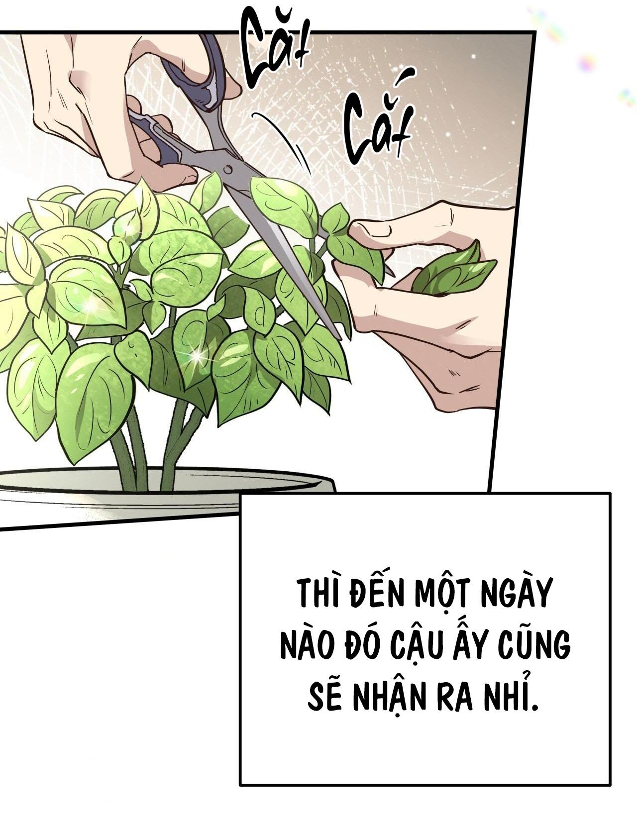 Đọc truyện MẬT GẤU - Chapter 52