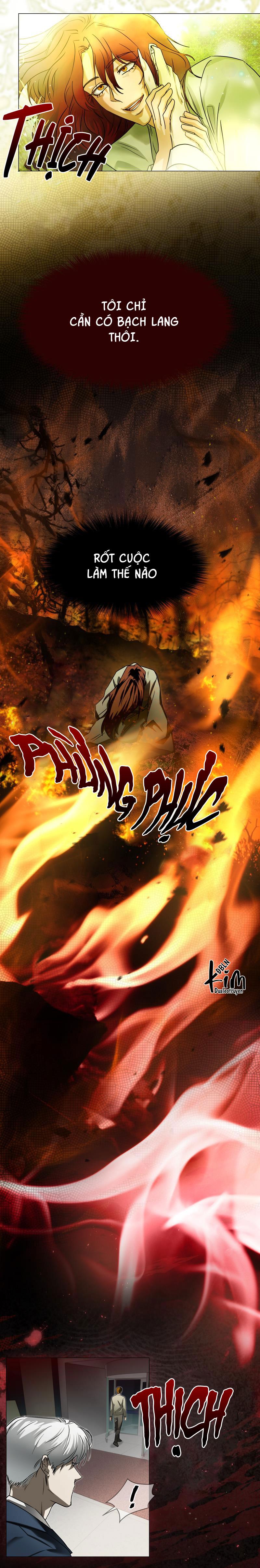 Đọc truyện TẾ PHẨM THẦN NÚI - Chapter 21