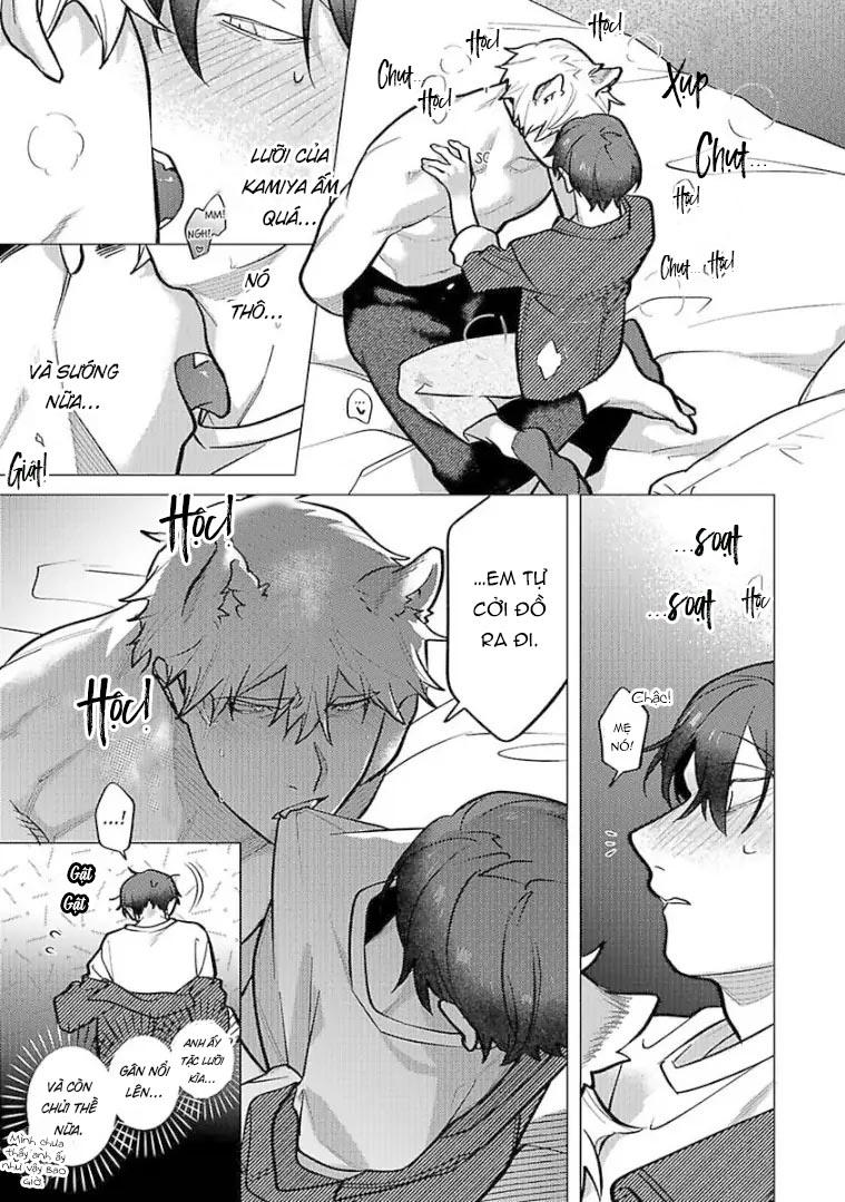 Đọc truyện Ngấu nghiến tôi và cho tôi biết thế nào là yêu - Chapter 6