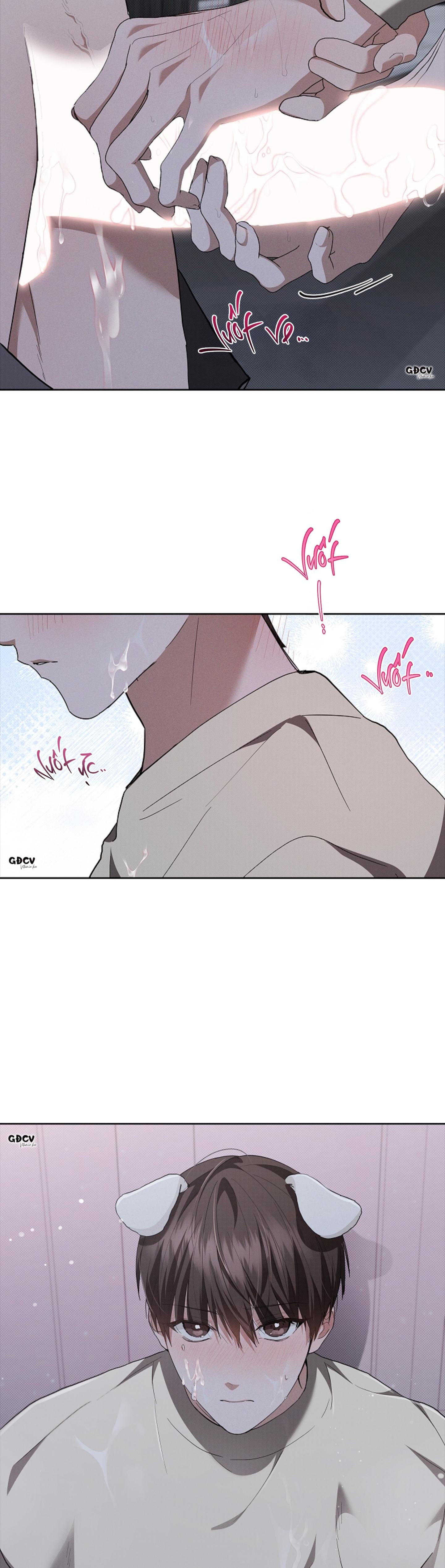 Đọc truyện ĐỪNG CHẠM VÀO CÚN CON CỦA TÔI - Chapter 24