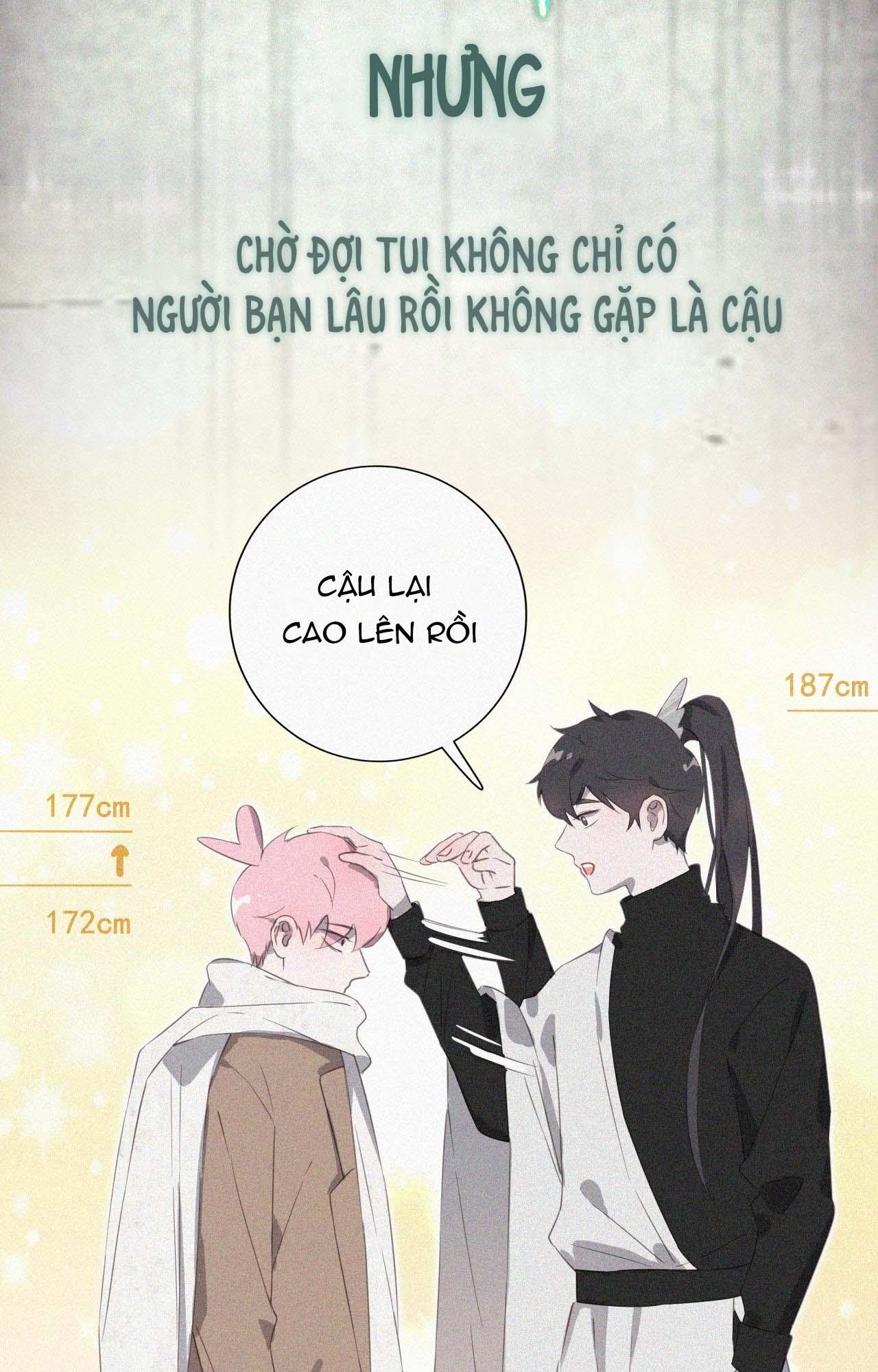 Đọc truyện Xã Hội Mồn Lèo - Chapter 40