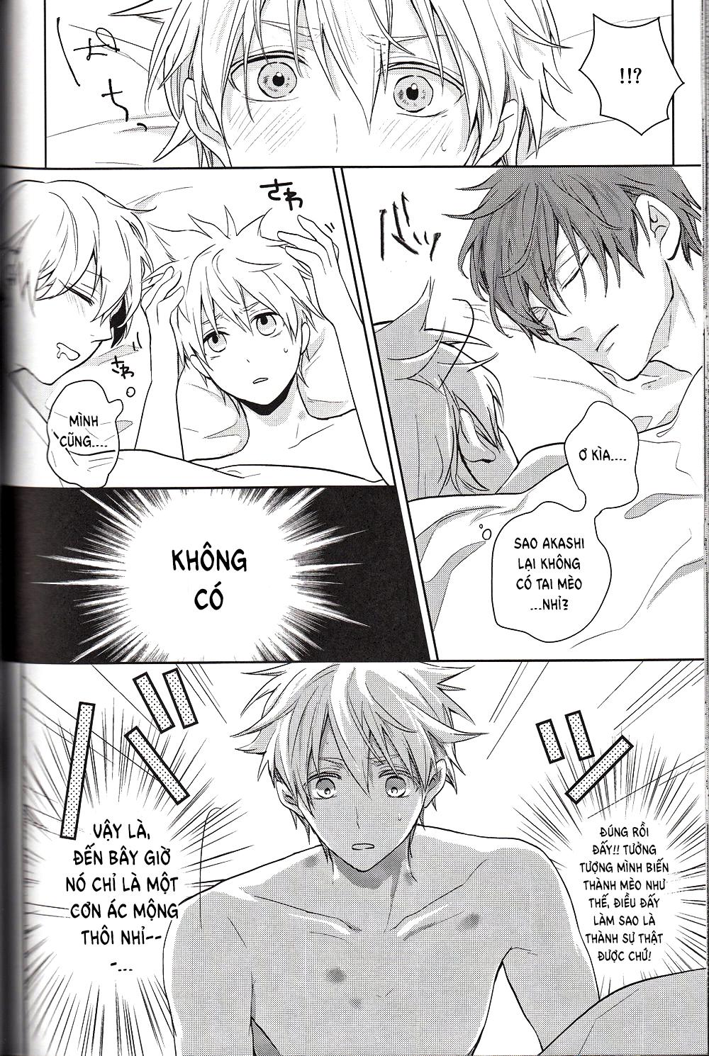 Đọc truyện Doujinshi của Kuroko no basket ball - Chapter 6
