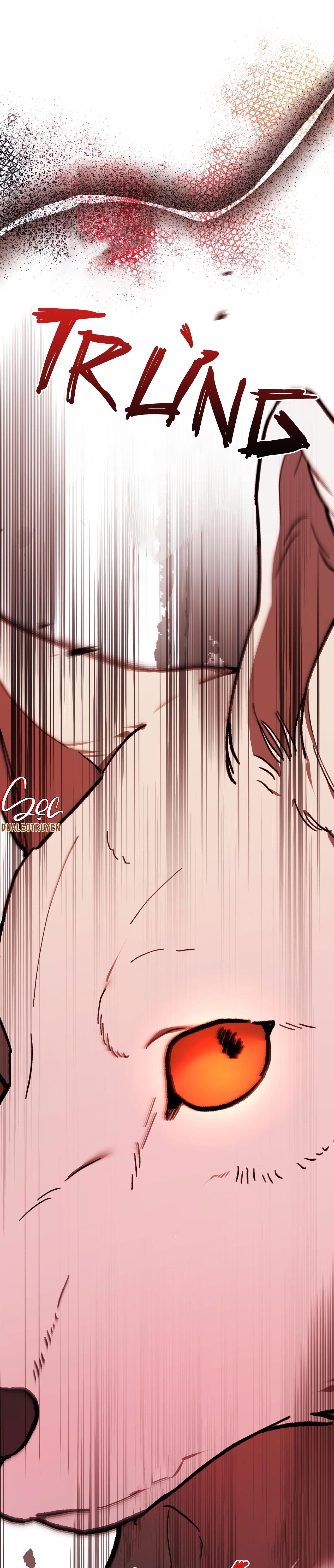 Đọc truyện SÓI TRONG LỒNG - Chapter 5