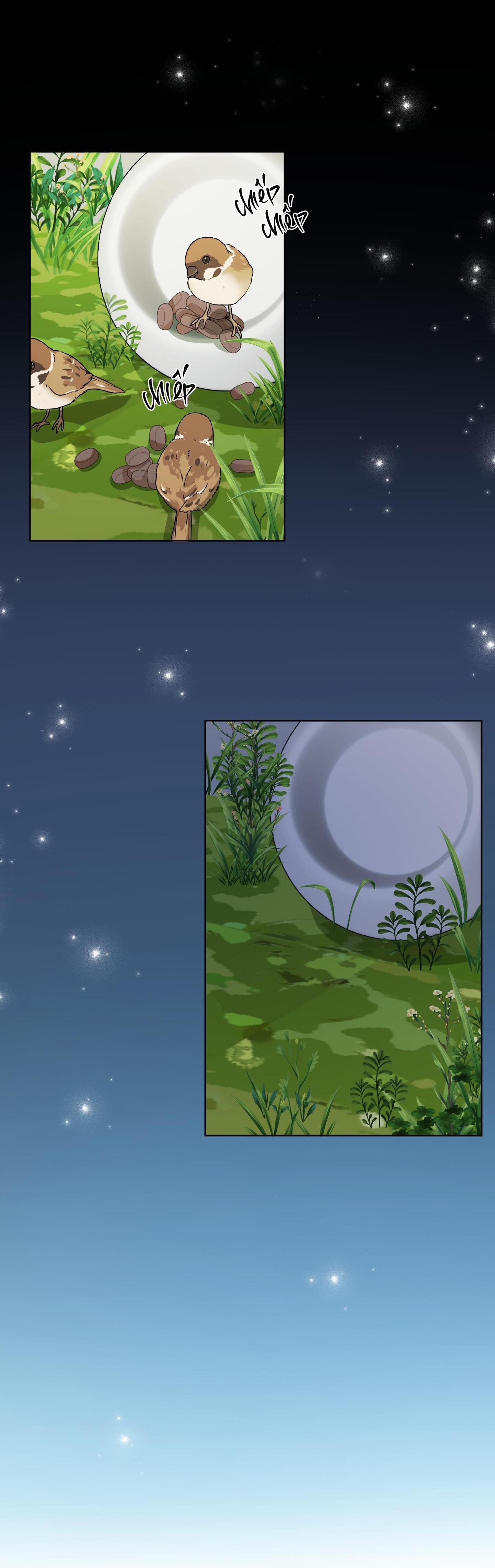 Đọc truyện  Đầm Sen Héo Úa - Chapter 26