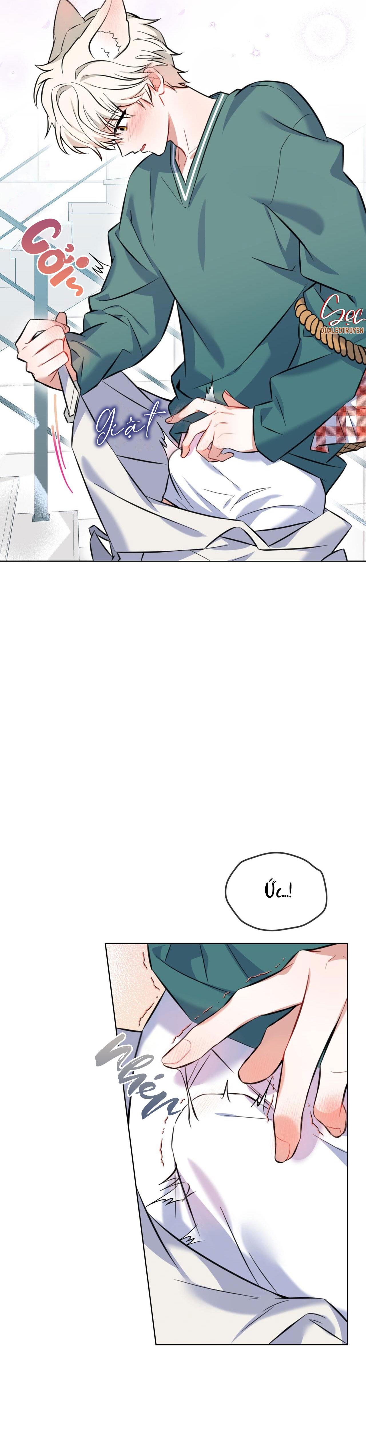 Đọc truyện NƯỚC UỐNG TÌNH YÊU CỦA CÁO PLIN - Chapter 2