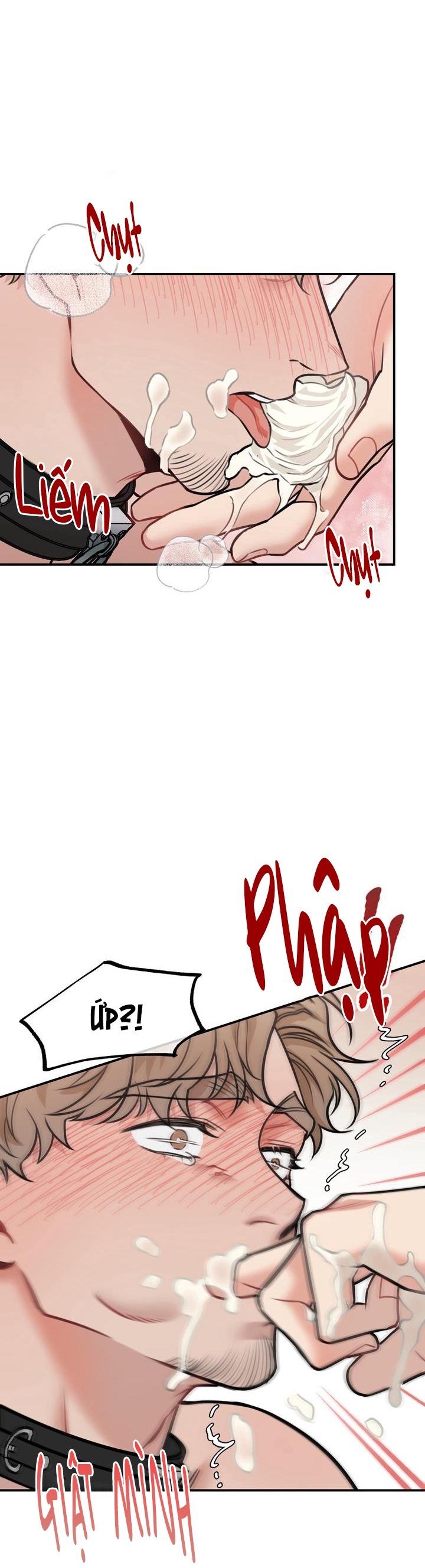 Đọc truyện HƯỚNG DẪN BDSM CƠ BẢN - Chapter 12